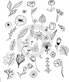 Set of  black hand drawn  fantazy flowers